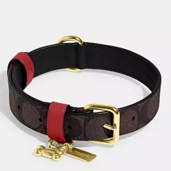 Coach Dog Nwt 98 Coach Large Pet Collar Poshmark